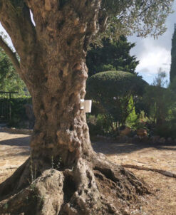 Optex ajax transmitter 002